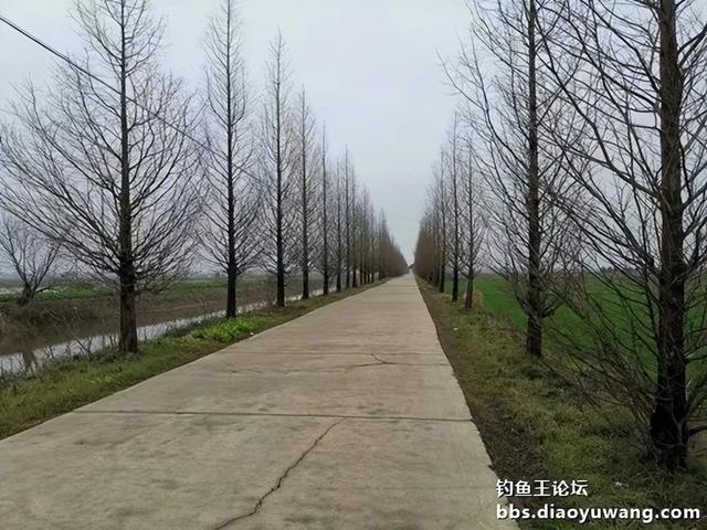 |鱼情有点小暴躁