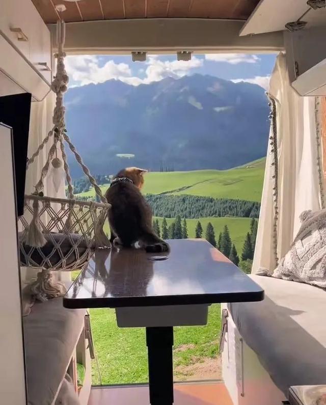 从大厂裸辞之后,她搬进了7m2的房子