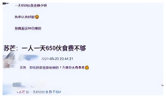 苏芒|人走茶凉苏芒:毁伊能静婚礼被洪晃暗讽,封杀唐嫣遭章子怡除名