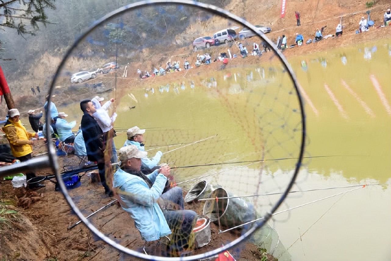 天亮之后|不就是图个“乐”,钓黑坑总想着“盘老板”那就趁早别玩了