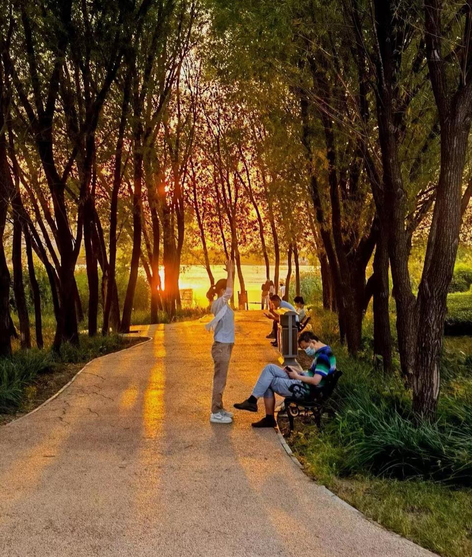 华山|行摄华山丨悠闲之余享受夕阳之美