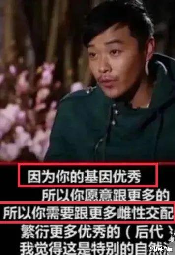 陈思诚|孕期出轨、新欢不断，这都能复婚？