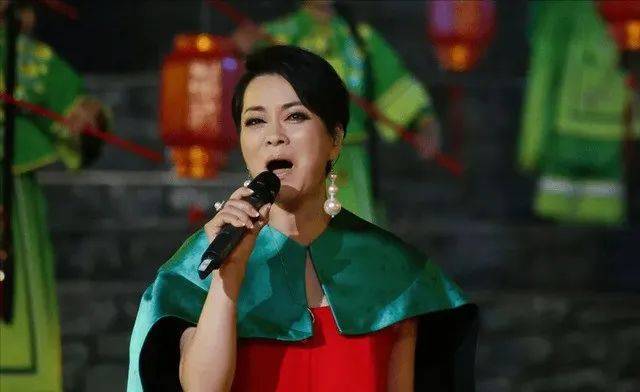 毛阿敏|富豪遗孀毛阿敏丧夫后首现身,拱手相让260亿巨额遗产