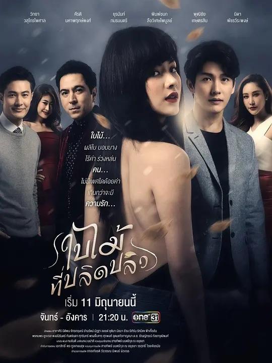 |五部脑洞大开的泰国神剧,毁三观系列,泰剧真会玩