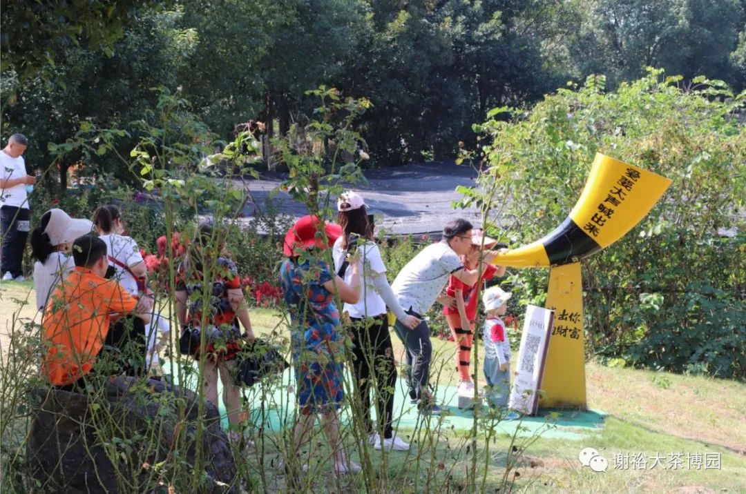 |徽州区:茶博五一享美味 平安无疫醉花海