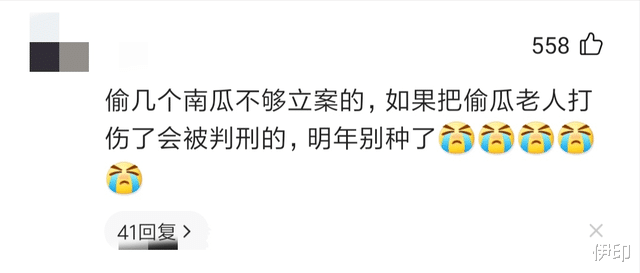 湖北老人组团偷瓜,被曝光后又“报复”砍瓜,律师却说可能无罪