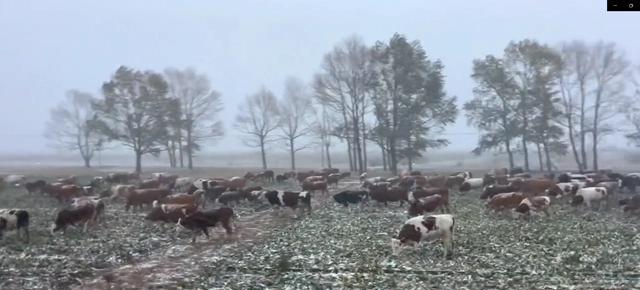 地球“四季错乱”了吗?我国9月多地罕见降雪,今冬真的会更冷?
