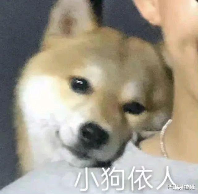 陆毅|恩爱夫妻,终于装不下去了?