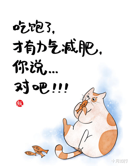 短发 减肥要聪明地控制饮食,解决满足感与饱腹感,而不是一味地少吃