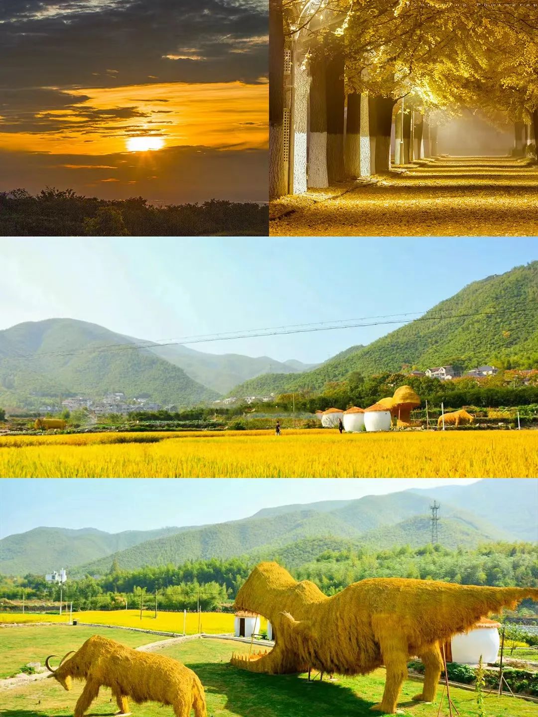 儋州|高铁仅需10min,红叶不输京都,秋冬美食滋补,美到王鹤棣也来打卡