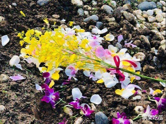 |毁三观！琼瑶拜祭丈夫被骂，曾逼走原配小三上位，爱情观扭曲