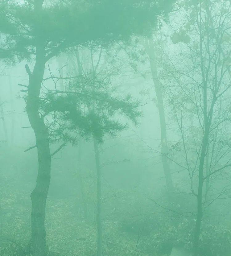 山西沁水：迷雾仙踪~云台山