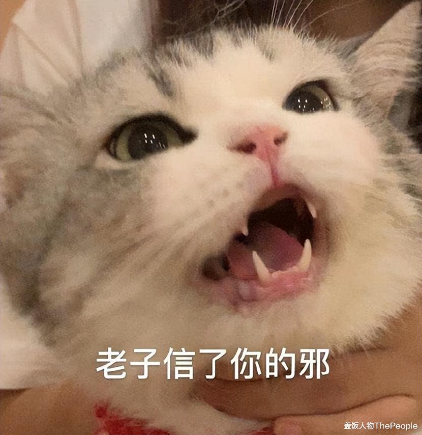 刘嘉玲|15位港台艺人定居内地:有人娶富婆住亿万豪宅,有人租房一月3000