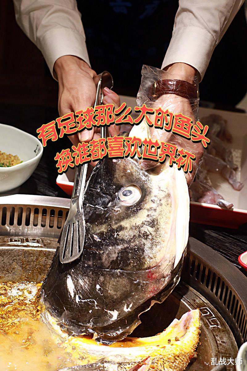 有足球那么大的鱼头! ! 换谁都喜欢世界杯