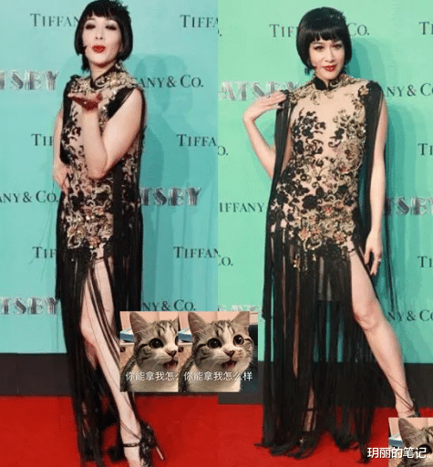 穿衣搭配|盘点中年女明星红毯“作妖记”，社会你大姐，没啥不敢穿