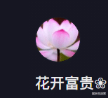 姐姐|孙卓连更2条视频,中老年“富贵儿”扑面而来,孙辉看到想删照