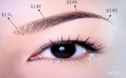 蔬菜 如果纹眉画眉，什么样的眉型好