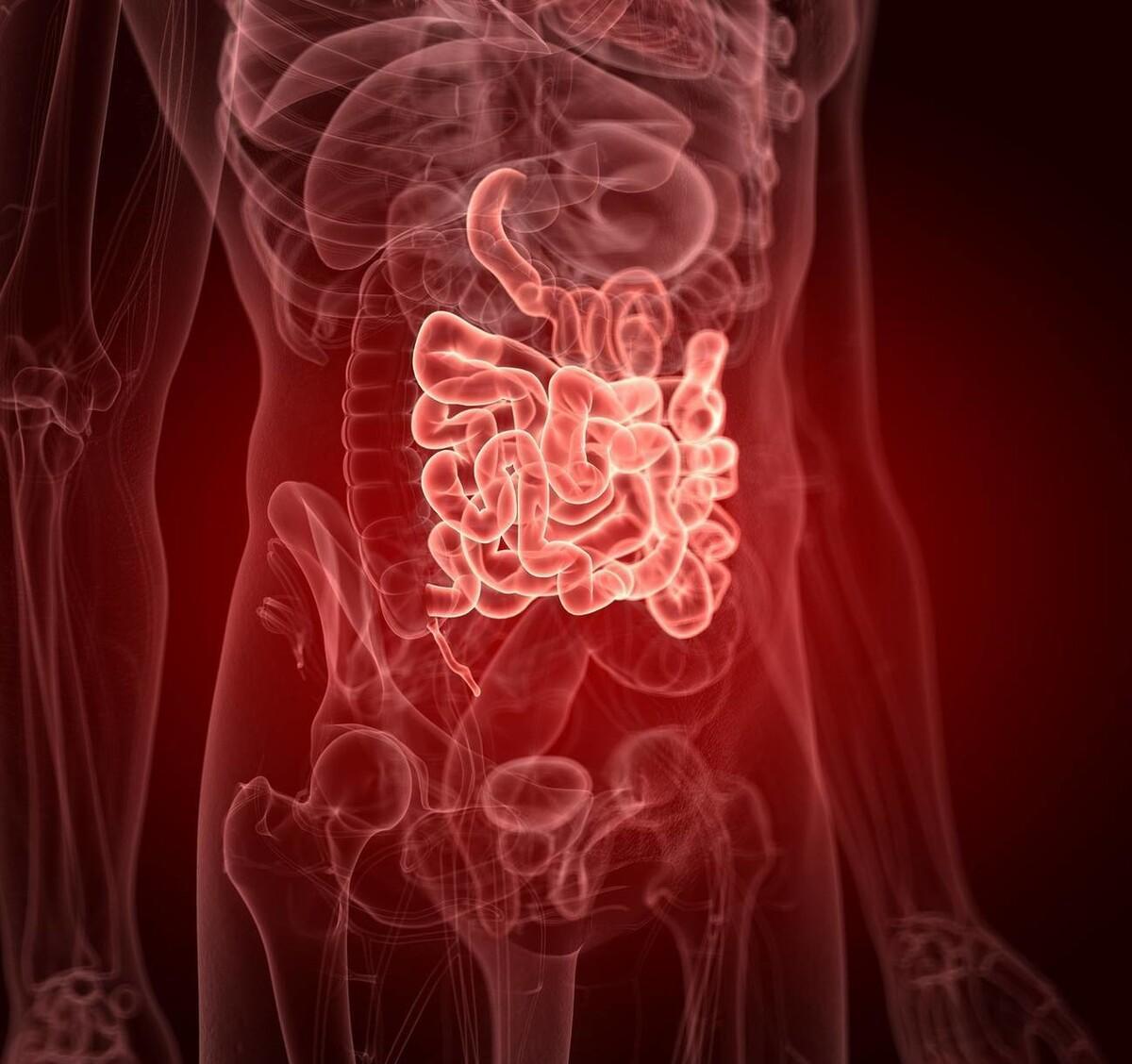 重金属|内心强大的方法—前额叶训练