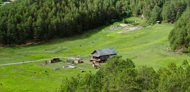 马场|《有风》里的漂亮马场，离洱海200多公里，曾藏在深山无人认识