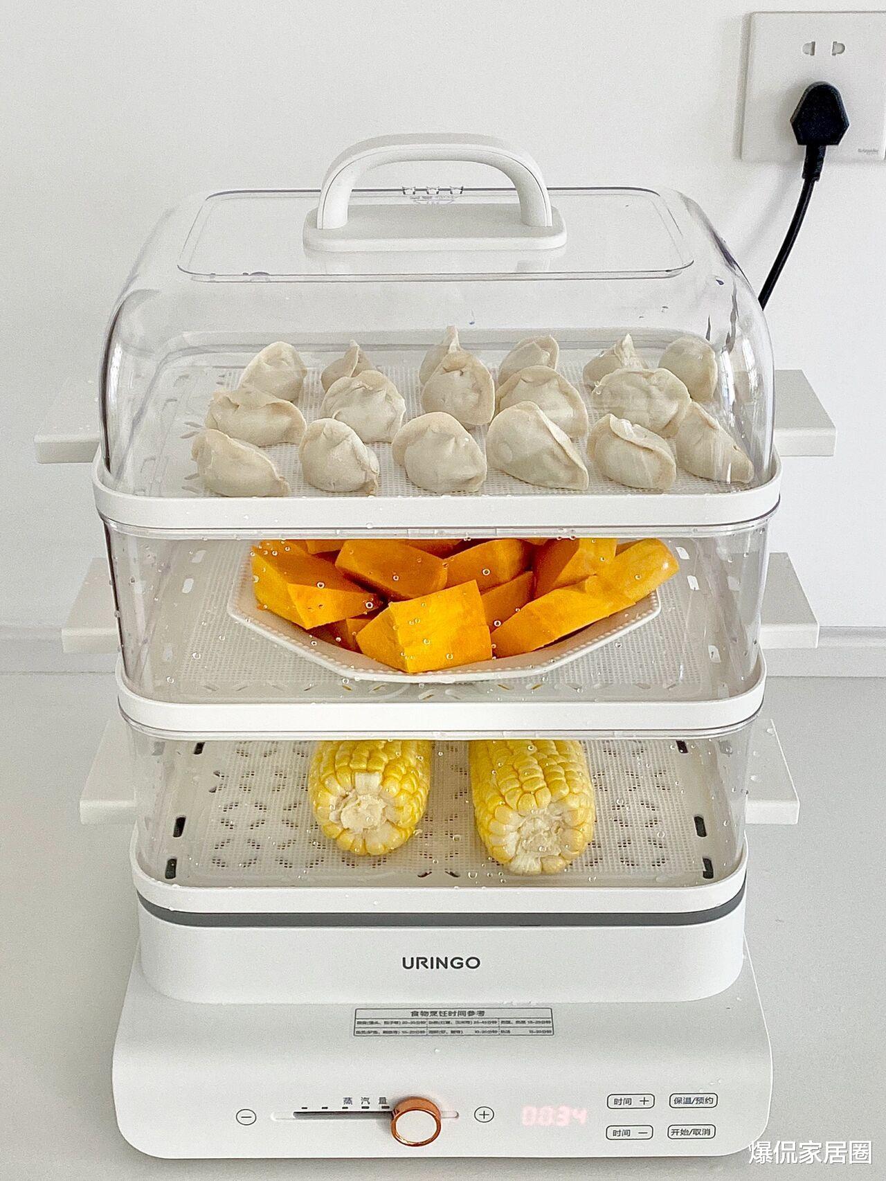 一见钟情的3个厨房小电器,买时“肉疼”,用起来真香!建议备齐