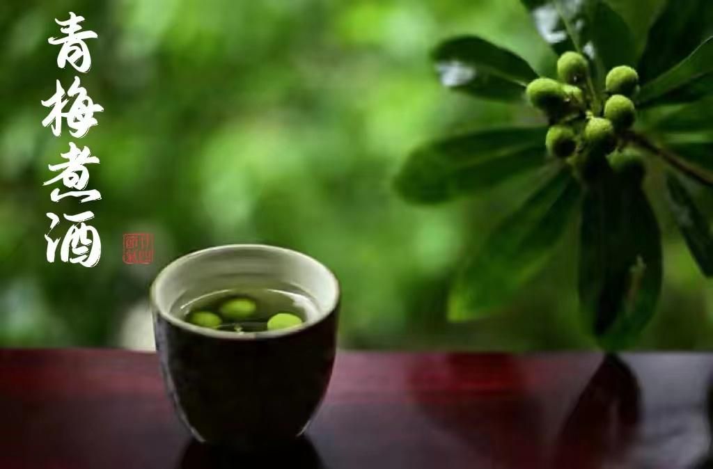 青梅煮酒—永不熄灭的液体之火