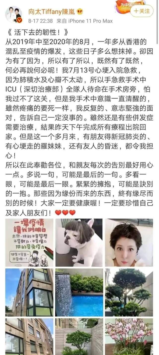 陈岚|陈岚：五次死里逃生，助向华强发达，叱咤娱乐圈，娶郭碧婷进向家