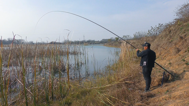 鲫鱼|冬季钓鲫鱼,长竿为什么是首选?只因为这些条件很难满足