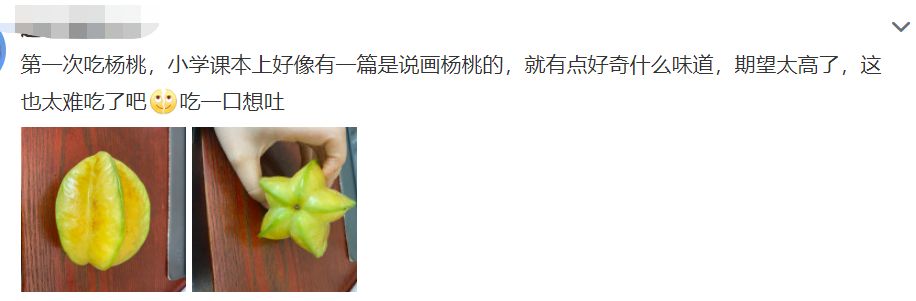 黄金搭档|我宣布，杨桃是世界上最难吃的水果