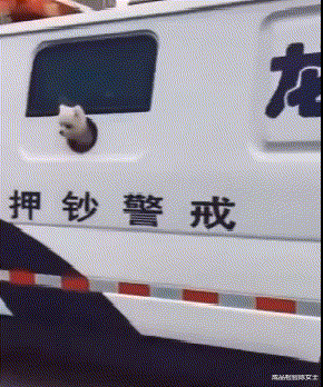 孙俪|孙俪近照引争议!眼凸脖颈鼓包,无效养生被指像青蛙