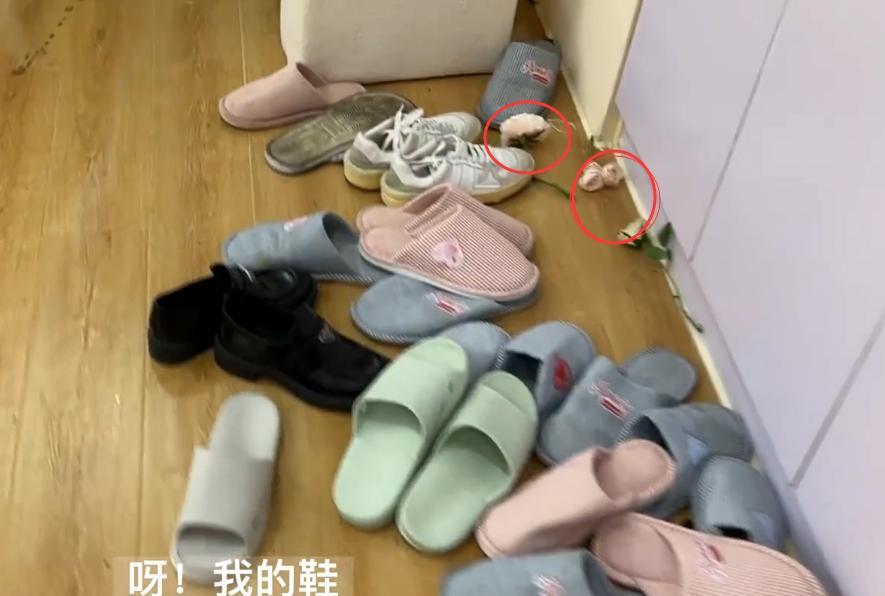 滤镜|心动5:没了滤镜,聂小倩颜值暴跌,面色暗黄无光泽,小屋环境乱