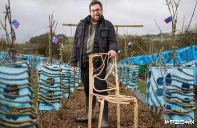 大叔花10年种出400把椅子,一把竟能卖25万,一起来见识下