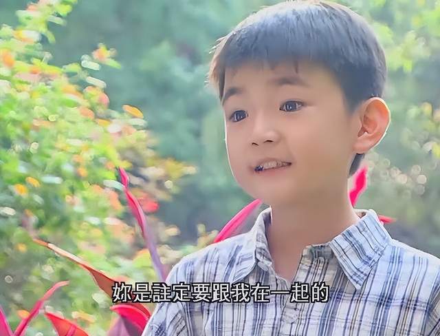 童星|8位“天才童星”现状,多人大起大落,两人锒铛入狱,命运差距大