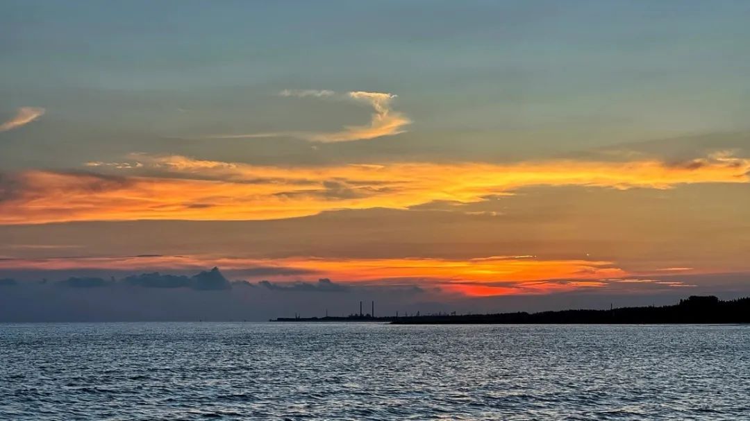 上海市|绝美上海后花园!景美人少性价比还高,大人小孩都玩得不想走