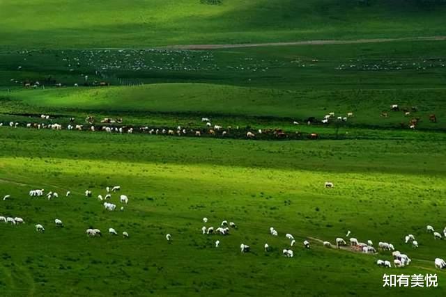 旅游业|太美了！6月最佳旅行目的地清单，这10个地方的夏天美如仙境！