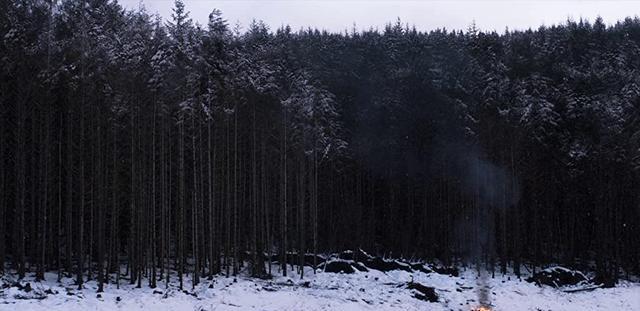 皮囊之下|《皮囊之下》:演绎肉体与情感的悖论