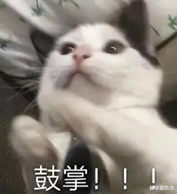 张雨绮|呆妹儿秀身材晒泳装照,网友:缩水