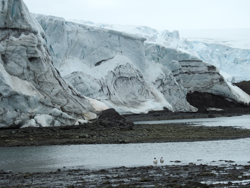 南极|我们能破解南极地区的气候密码吗？