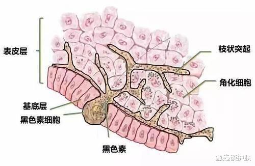饮食 吹捧过度，还是实至名归？扒皮OLAY二代淡斑小白瓶