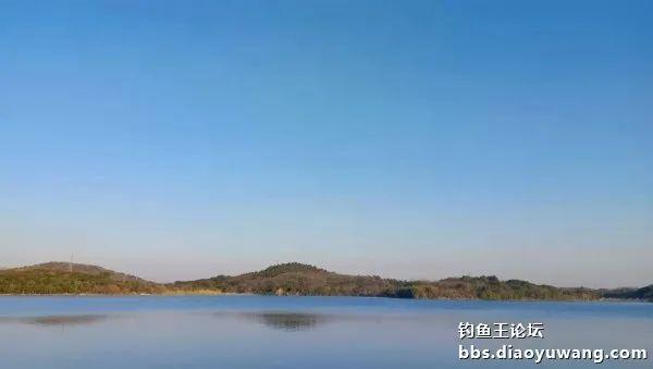 饵料|开张迎吉（鲫），惊喜有翘