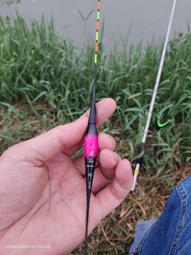 白鲢|【作钓报告】往事不堪回首,鱼获知道多少