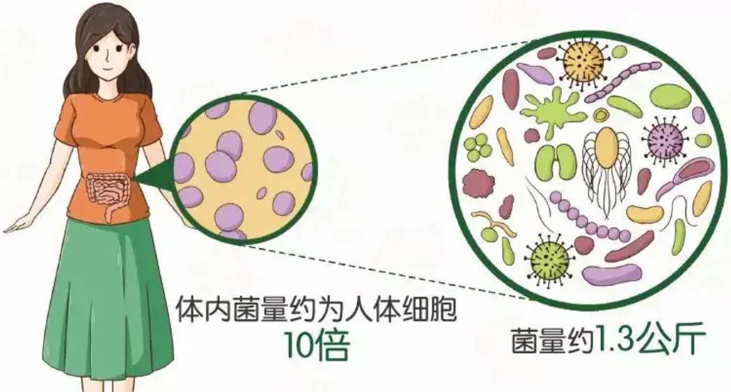 宇航员命丧太空,尸体会经历多可怕的过程?看完整个人都不好了
