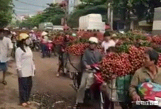 案件通报|医护人员面对病人的身体内心真的毫无波澜吗？评论亮了！