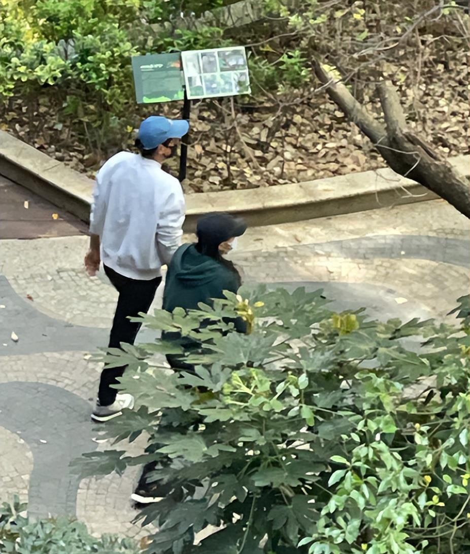 明星|众上海明星晒物资曝光富人区，有菜有肉营养丰富，房价千万起步