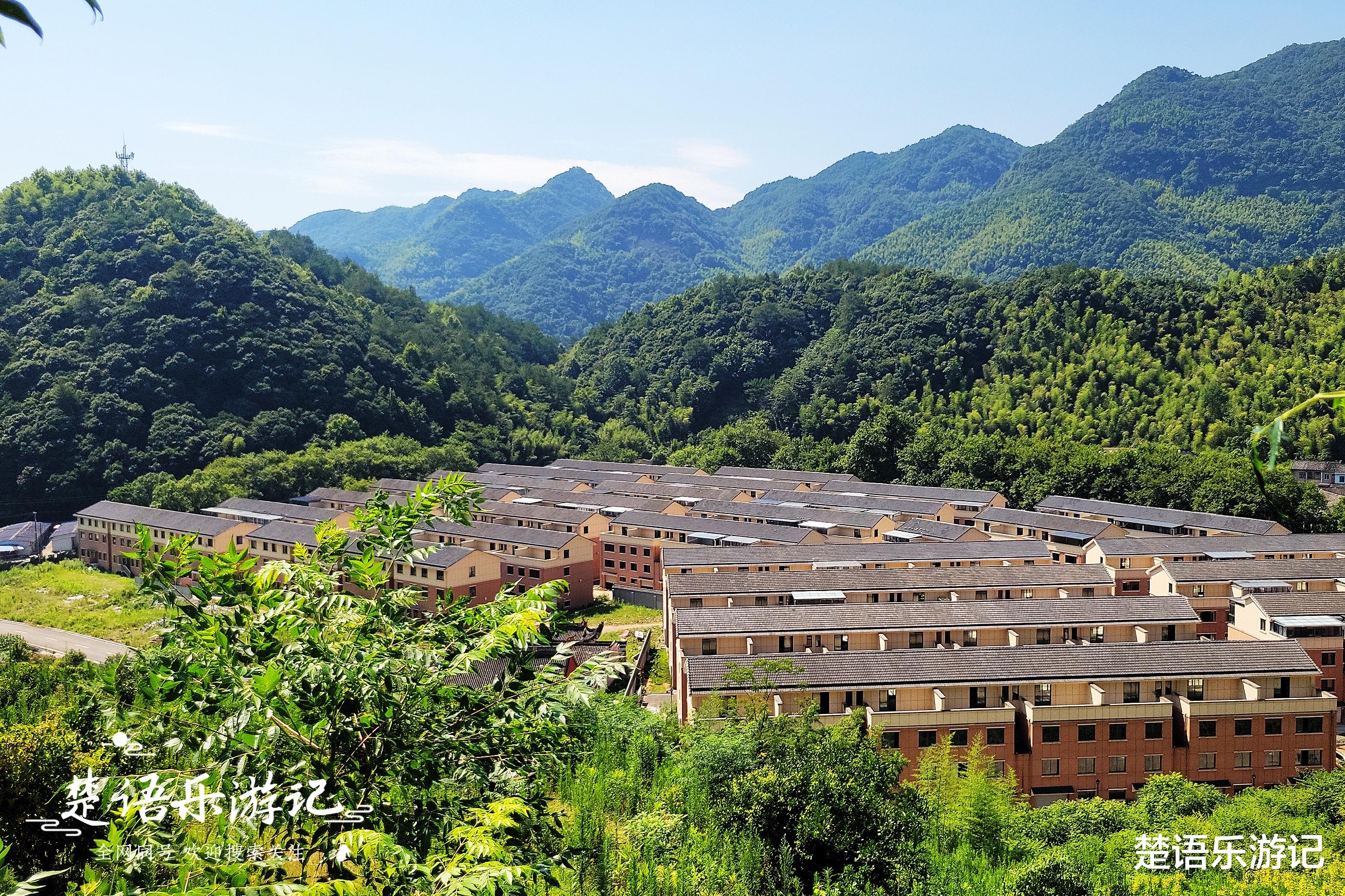 宁波|宁波海曙与奉化交界发现一处玩水地，古树掩映很清凉，游人不多