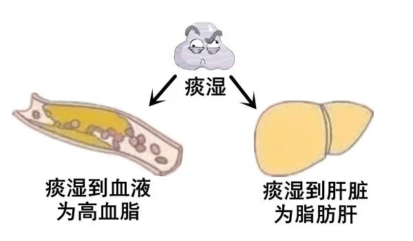 祛湿 说一剂减肥名方，两味药，化痰祛湿，赶走肥胖，消除大肚腩水桶腰
