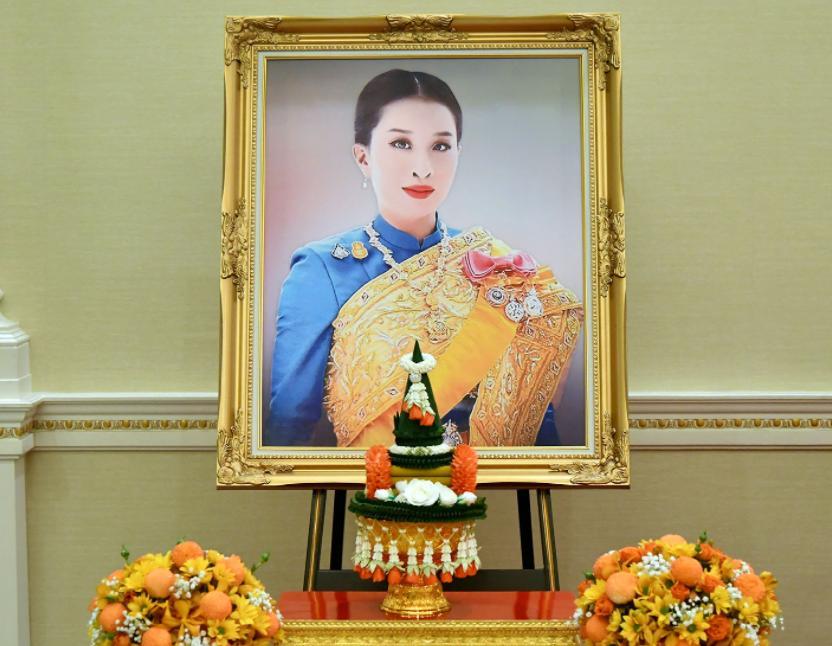 王储|帕公主御画像接连出镜，现状近况扑朔迷离，提帮功或将走向台前