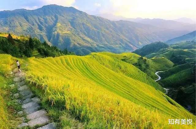 徐汇滨江|老外眼中中国最美的20个地方,神秘、有历史感,你去过几个呢?