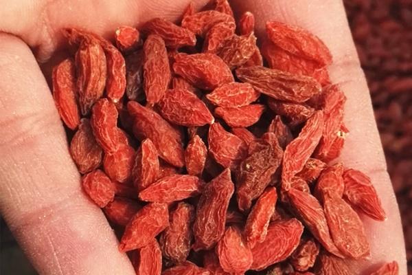 肝脏|肝不好的人，身体可能有3大“缺陷”！常吃2物、敲1处，养好肝