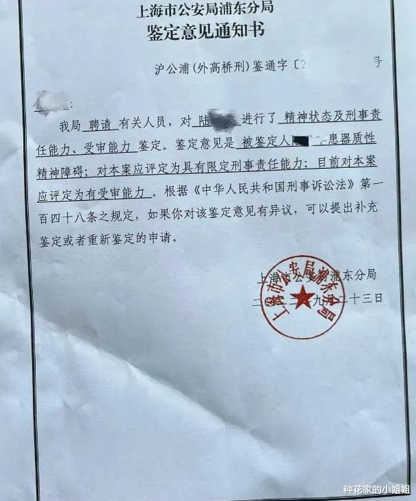 6万元摩托车被“精神病老人”故意推到损失16000,男子:坚持追究刑责!