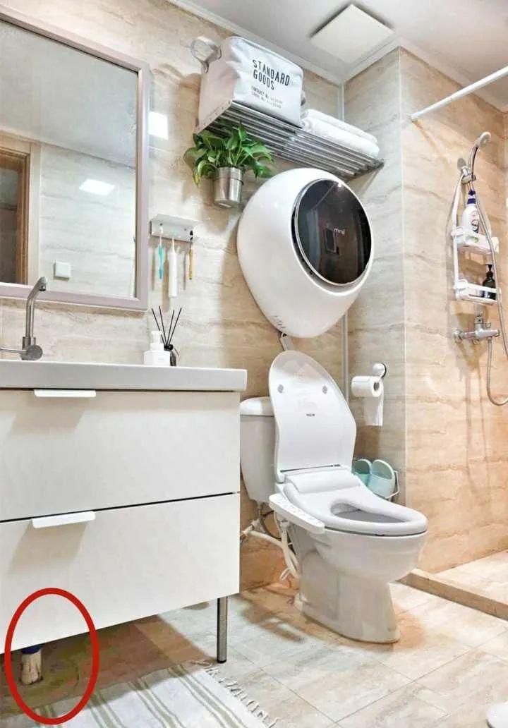 国内卫生间不大,却最容易出错,尤其这4个地方,入住前就该知道